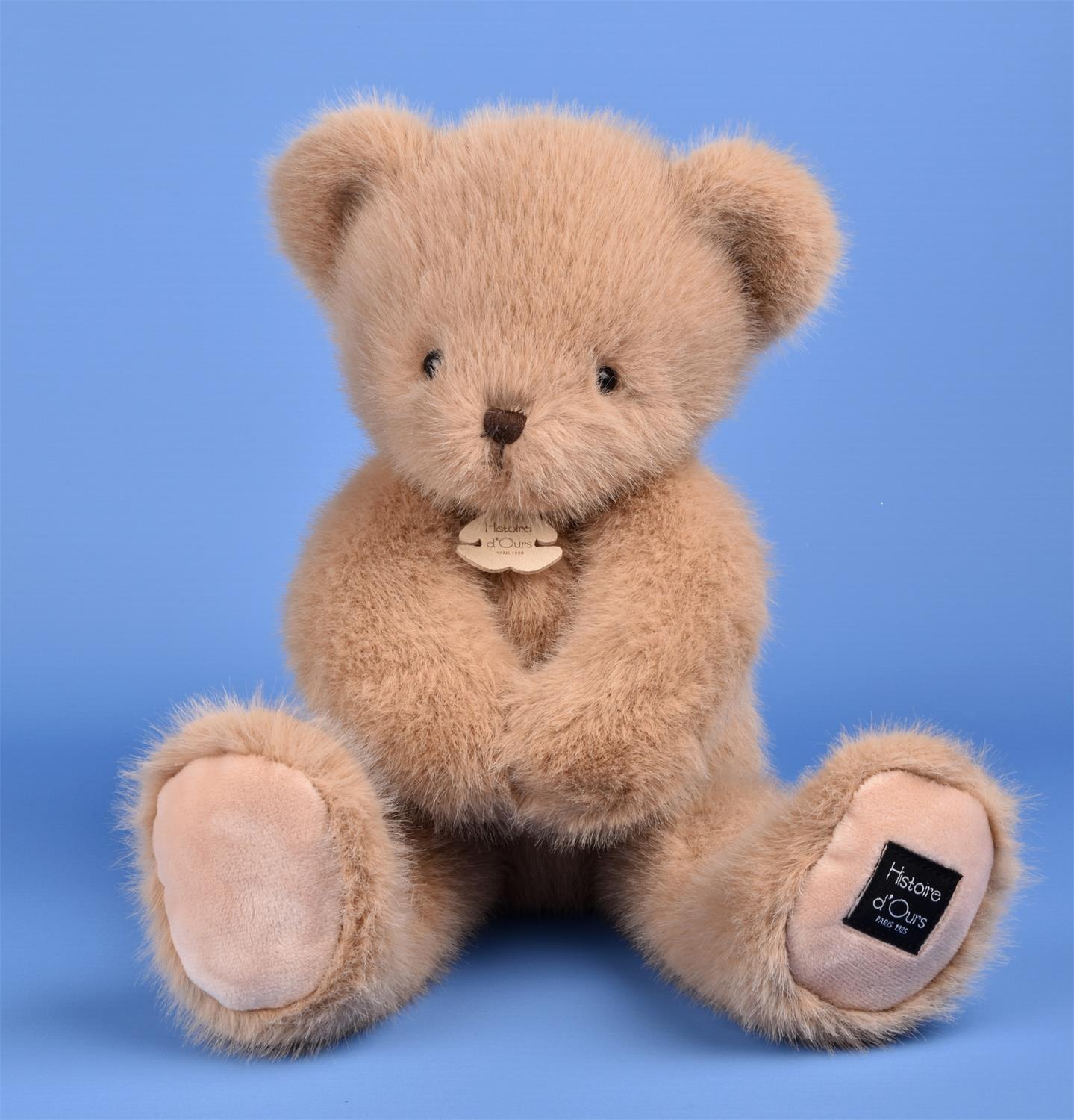 Bear Amande -  Histoire d'Ours